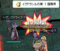 やったよ!