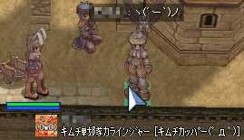 期待の星