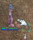 ぽりーん(´・ω・`)
